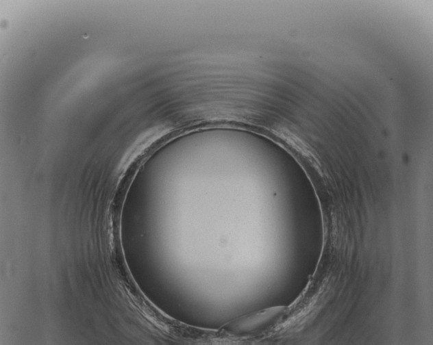 X0000063500782200601271744