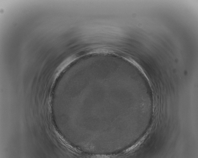 X0000063500783200601271744