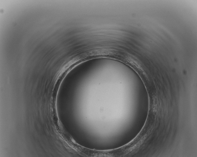 X0000063500786200601271744