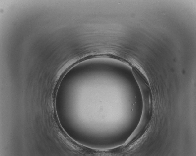 X0000063500789200601271744