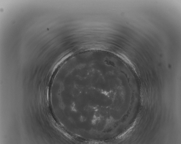 X0000063500790200601271744