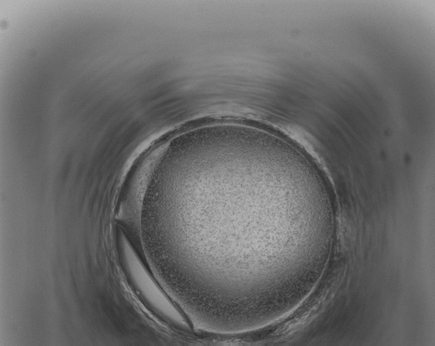 X0000063500791200601271744