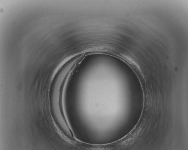 X0000063500792200601271744