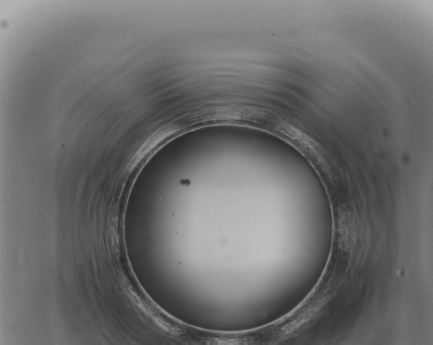 X0000063500794200601271744