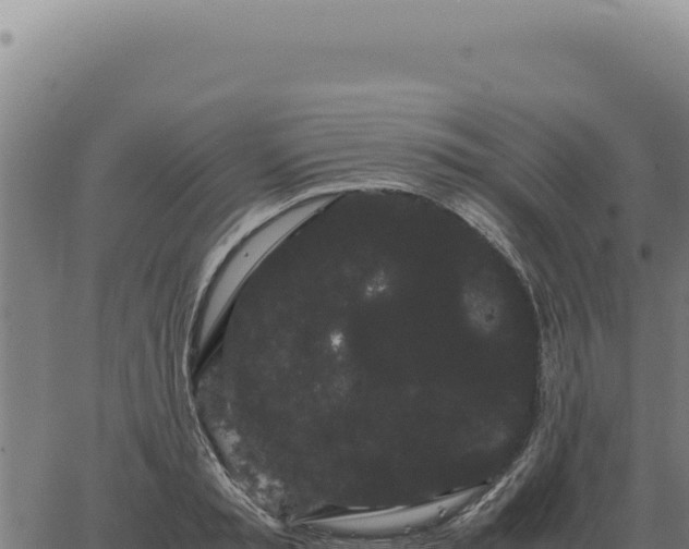 X0000063500797200601271744