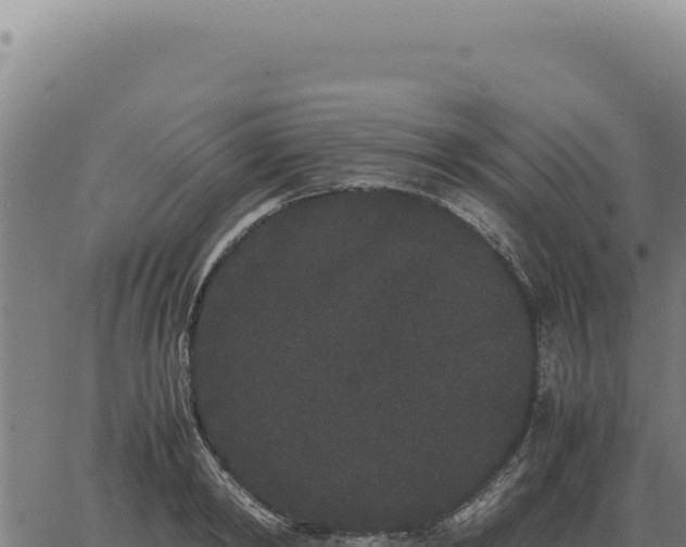 X0000063500798200601271744