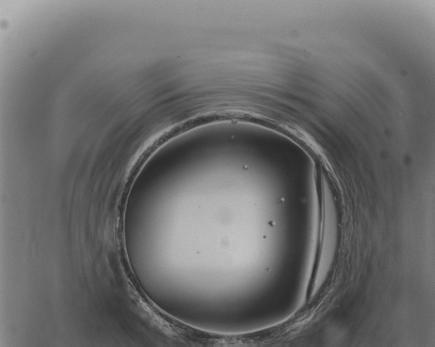 X0000063500799200601271744