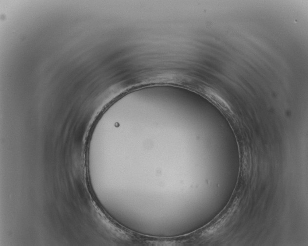 X0000063500800200601271744