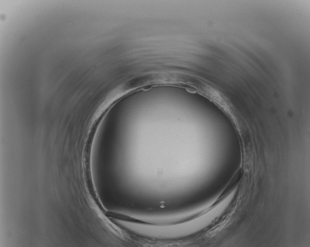 X0000063500803200601271743