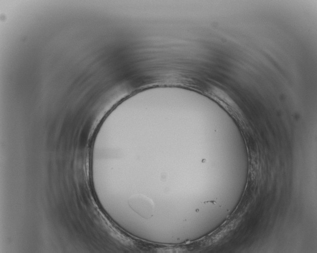 X0000063500804200601271743