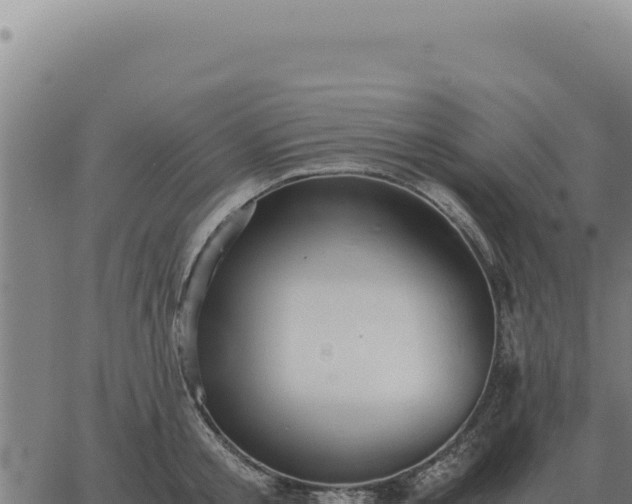 X0000063500805200601271743