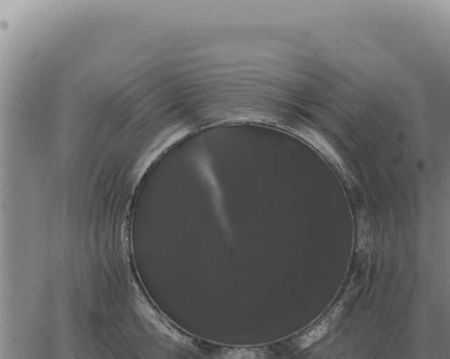 X0000063500806200601271743