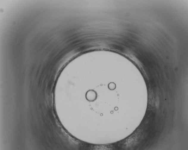 X0000063500807200601271743