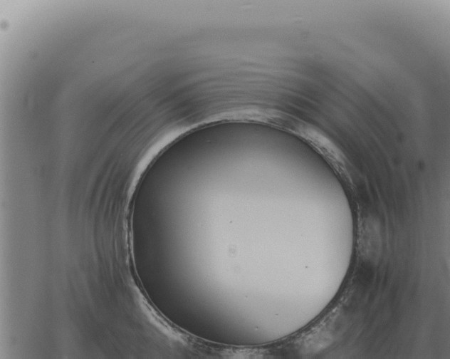 X0000063500808200601271743