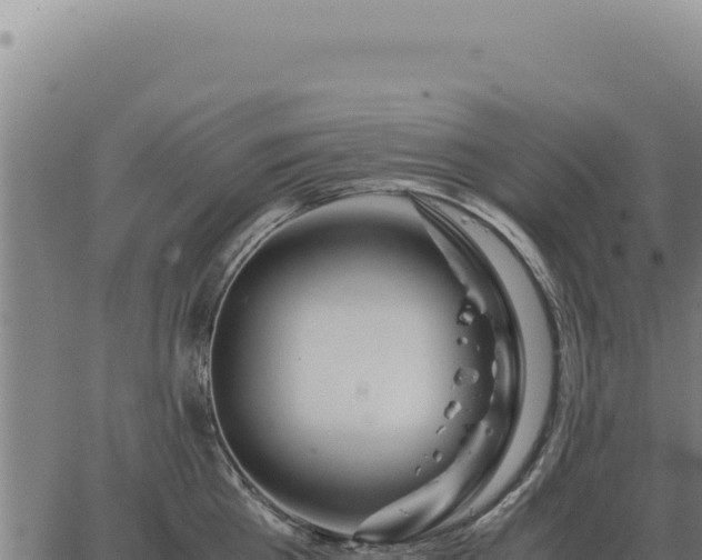 X0000063500809200601271743