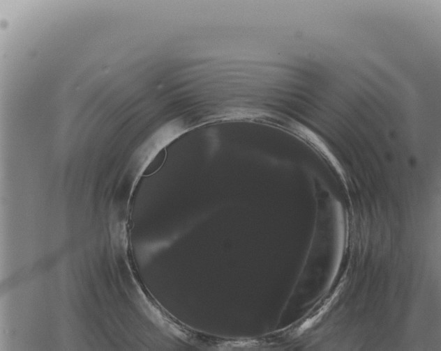 X0000063500810200601271743