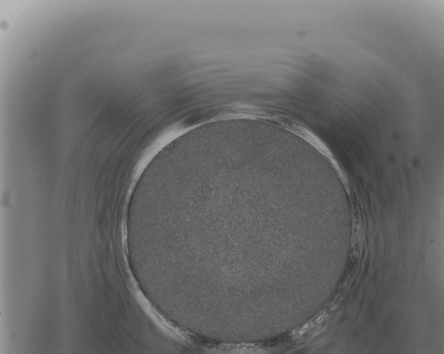 X0000063500811200601271743