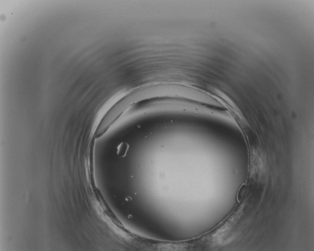 X0000063500812200601271743