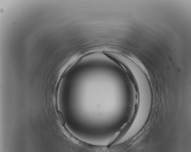 X0000063500813200601271743