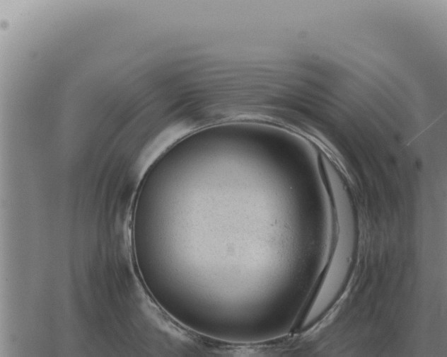 X0000063500814200601271743