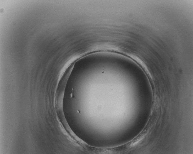 X0000063500815200601271743