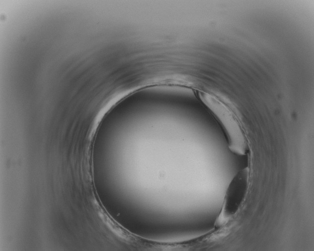 X0000063500816200601271743