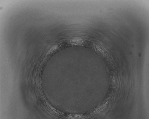 X0000063500817200601271742