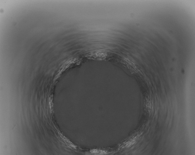 X0000063500818200601271743