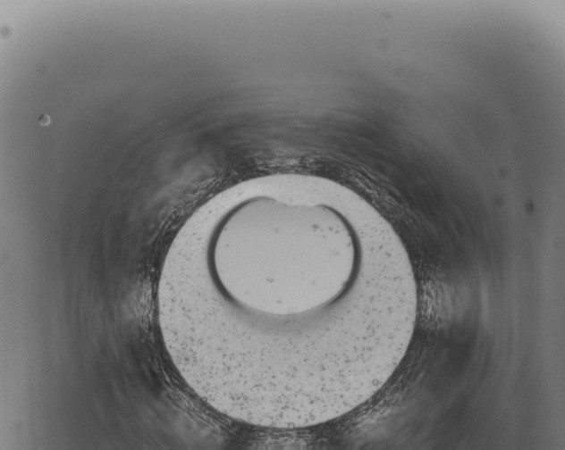 X0000063500820200601271743