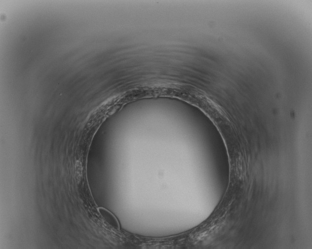 X0000063500821200601271743