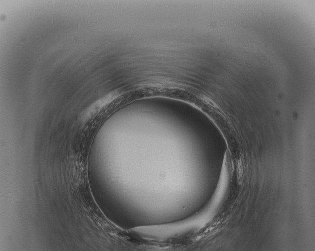 X0000063500822200601271743