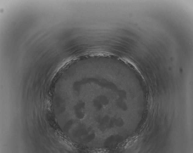 X0000063500823200601271743