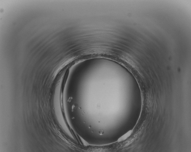 X0000063500826200601271743