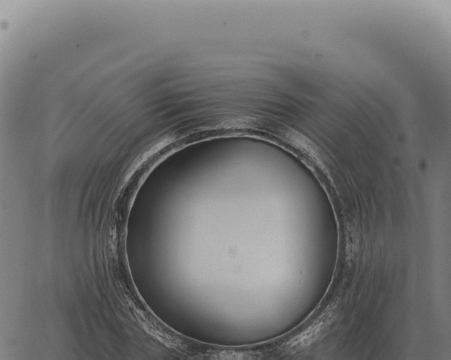 X0000063500827200601271743