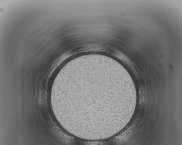 X0000063500828200601271743