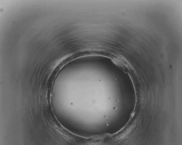 X0000063500830200601271743