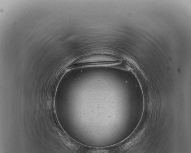 X0000063500833200601271743