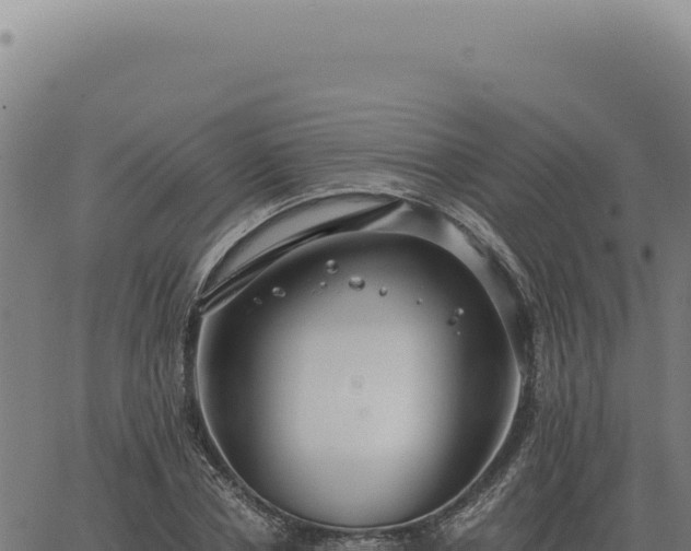 X0000063500834200601271743