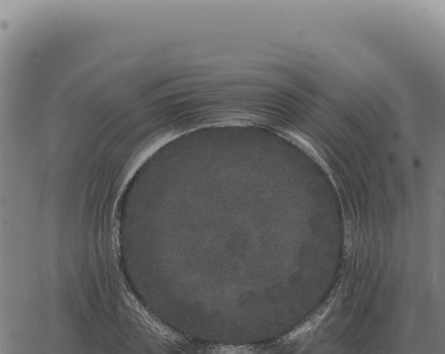 X0000063500835200601271743