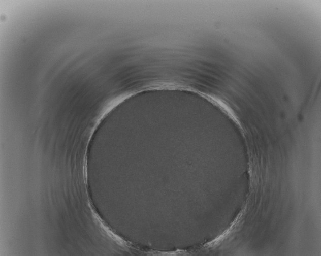 X0000063500839200601271743