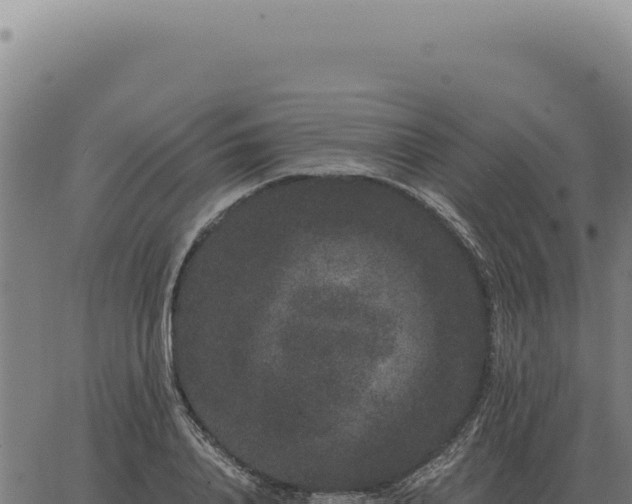 X0000063500840200601271743