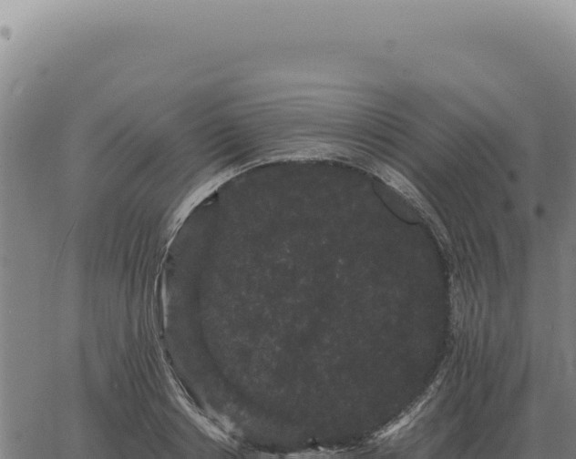 X0000063500842200601271743