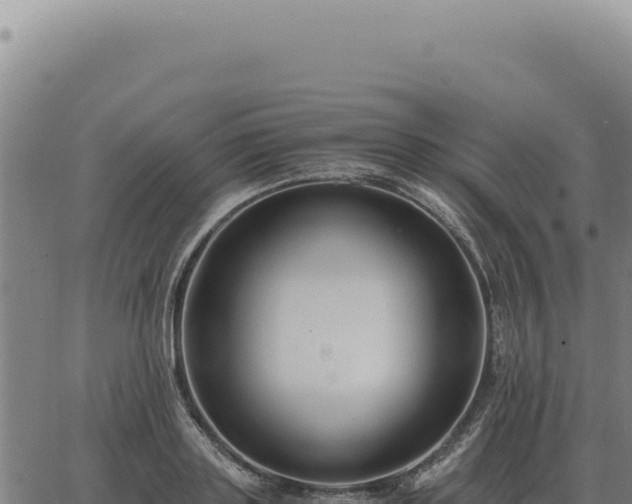 X0000063500843200601271743