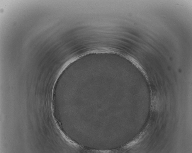 X0000063500845200601271743