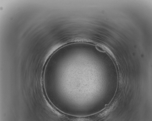 X0000063500847200601271743