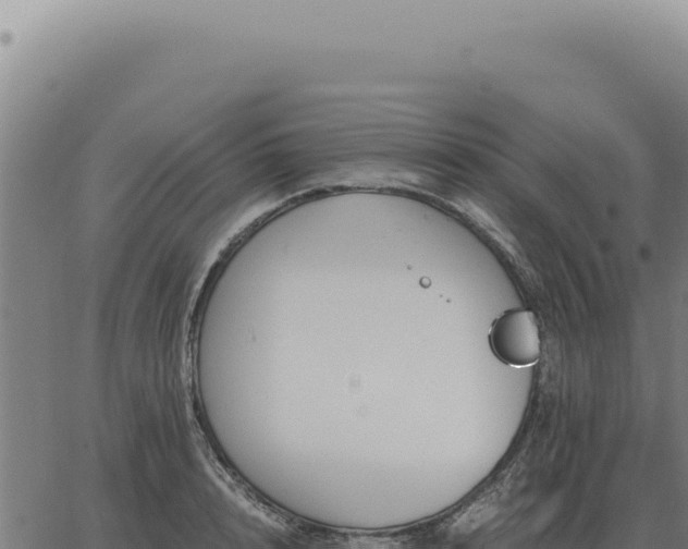 X0000063500848200601271743