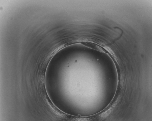 X0000063500849200601271743