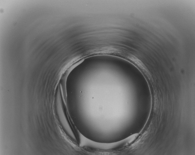 X0000063500850200601271743