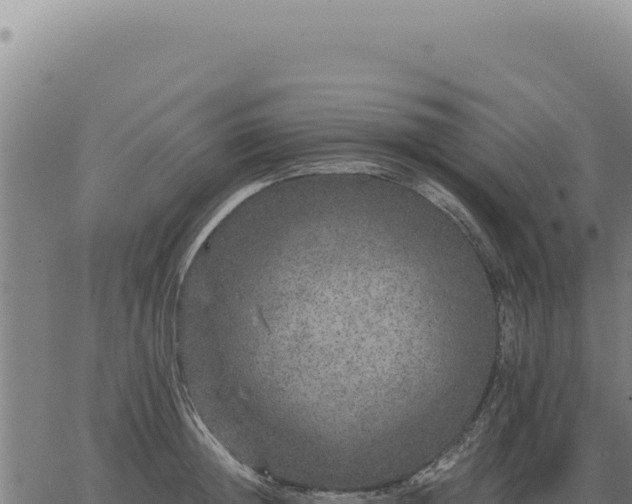 X0000063500852200601271743