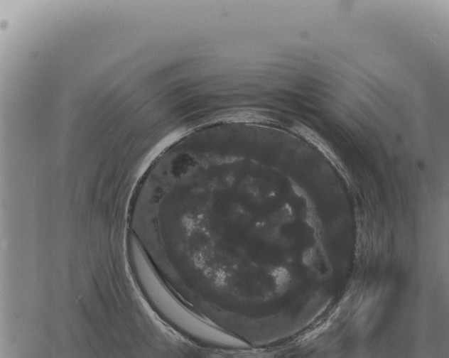 X0000063500853200601271743